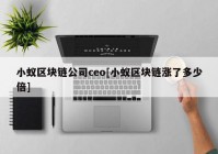 小蚁区块链公司ceo[小蚁区块链涨了多少倍]