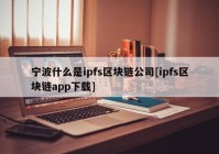 宁波什么是ipfs区块链公司[ipfs区块链app下载]